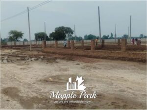 mapple-park-n-5