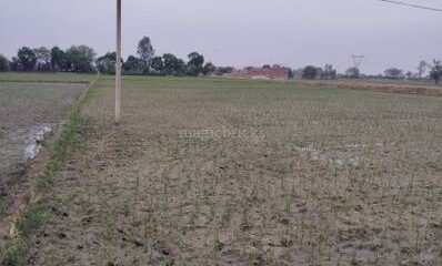 Agricultural-Land-for-Sale-in-Nandgaon